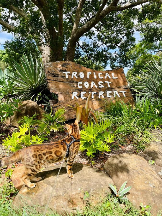 Tropical Coast Retreat - Pet Friendly - Adult Only Casa de hóspedes Kingscliff Exterior foto