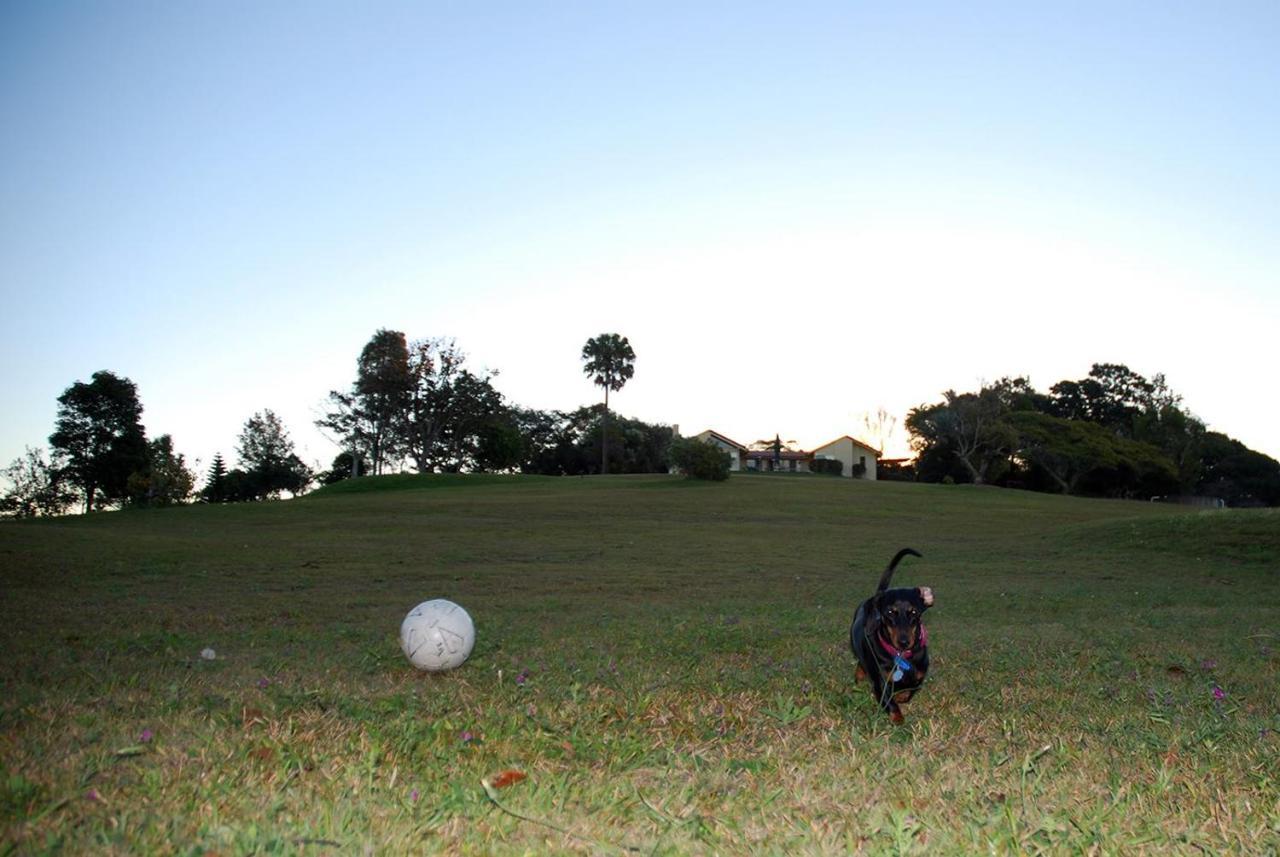 Tropical Coast Retreat - Pet Friendly - Adult Only Casa de hóspedes Kingscliff Exterior foto