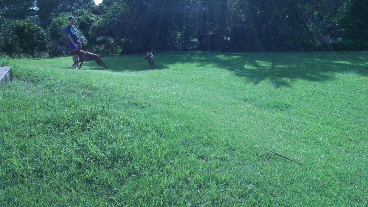 Tropical Coast Retreat - Pet Friendly - Adult Only Casa de hóspedes Kingscliff Exterior foto