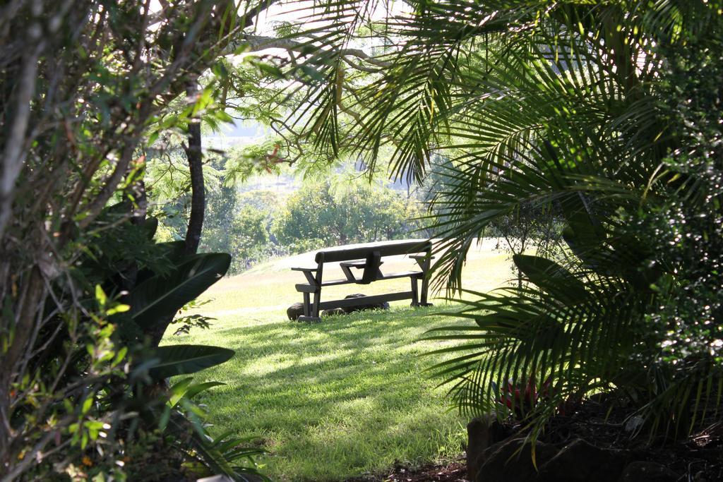 Tropical Coast Retreat - Pet Friendly - Adult Only Casa de hóspedes Kingscliff Exterior foto