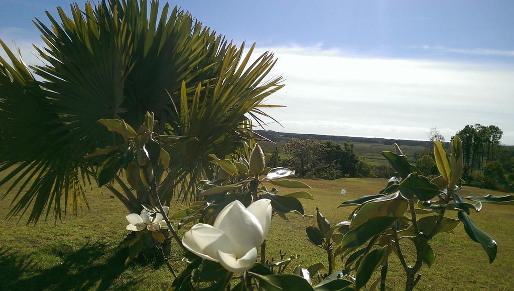 Tropical Coast Retreat - Pet Friendly - Adult Only Casa de hóspedes Kingscliff Exterior foto